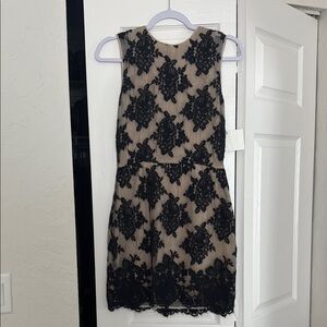 Elegant Black Lace Phillip Lim Dress